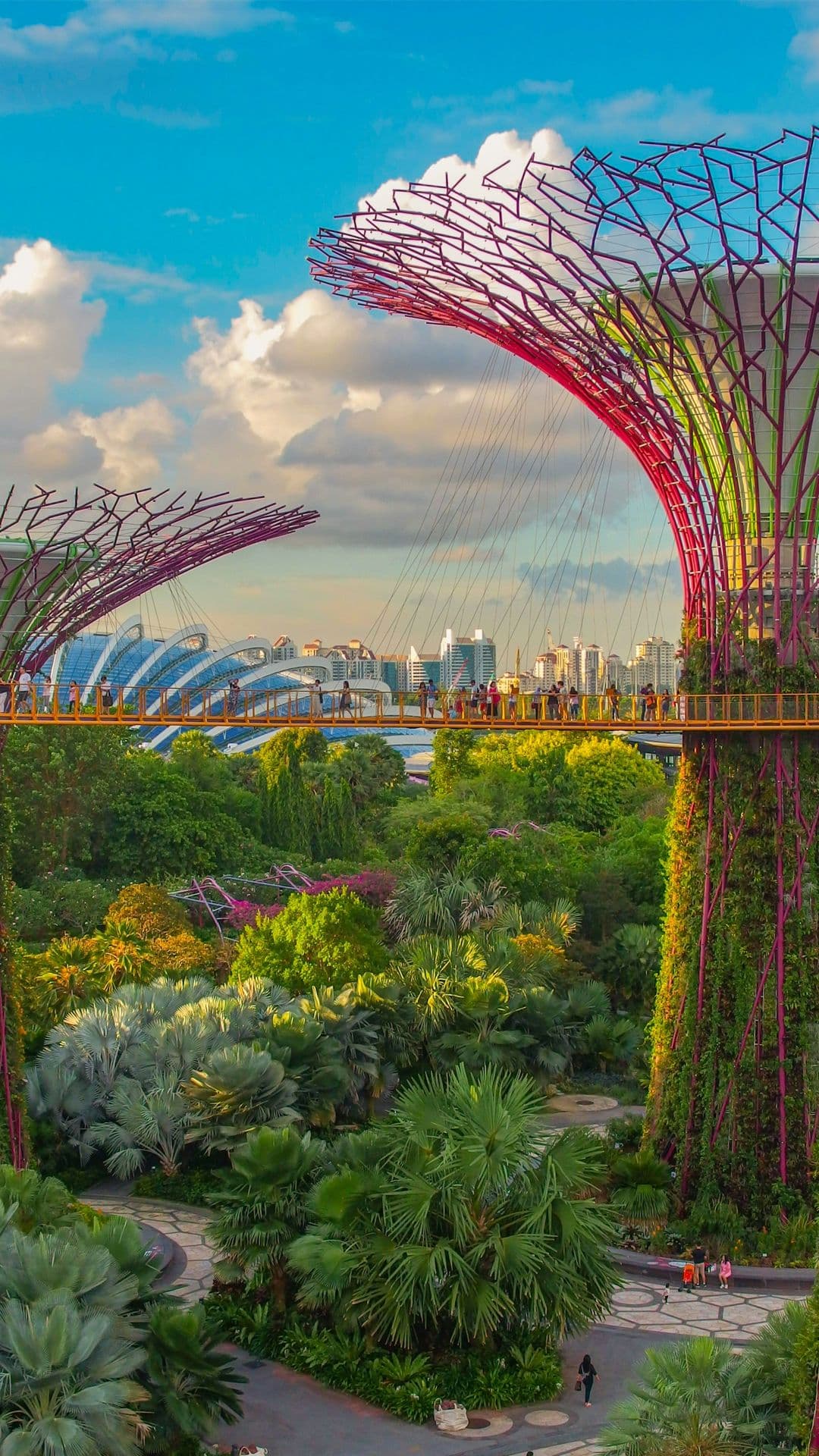 Trip to Singapore: 3N - 5 Stars Hotel